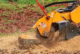 Trusted Tomball, TX Tree Services Experts