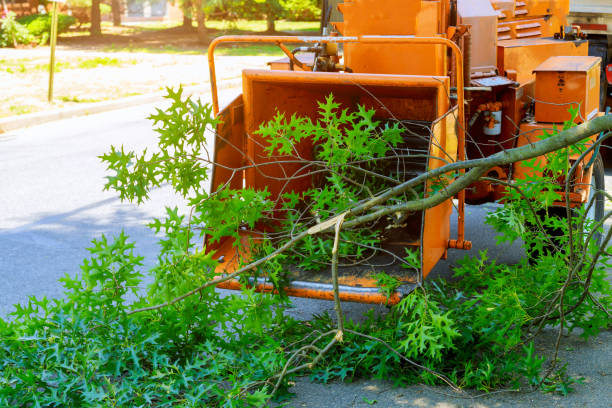 Best Lawn Drainage Solutions  in Tomball, TX