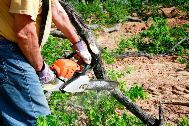 Mulching Services in Tomball, TX